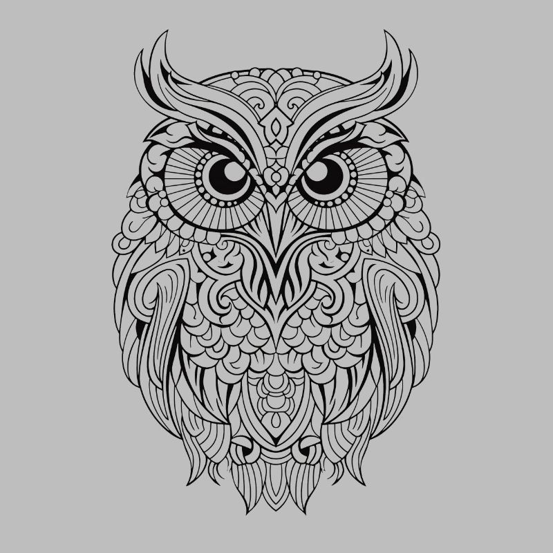 Mythical Magical Boho Owl with Patterns