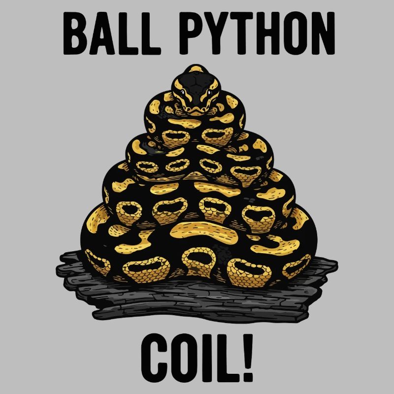 Python Royal Ball Python Coil Reptile Pyramide