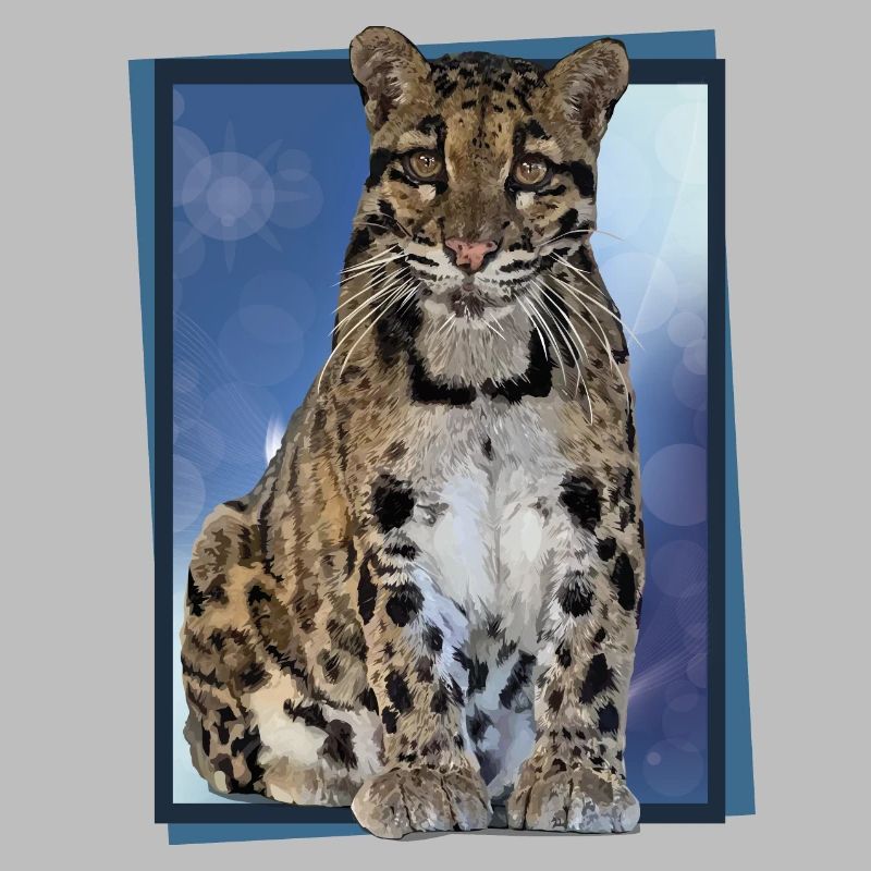 Clouded leopard