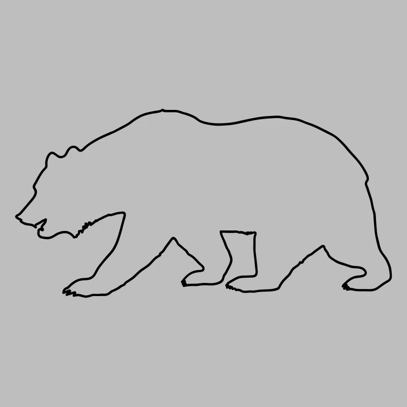 Bear Drawing