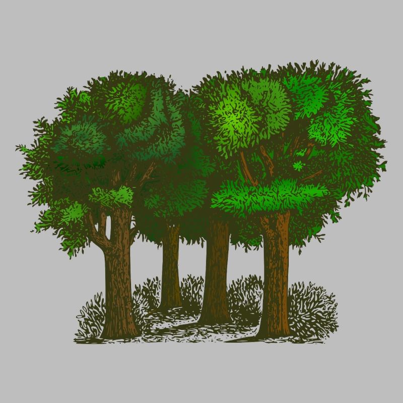 Wald