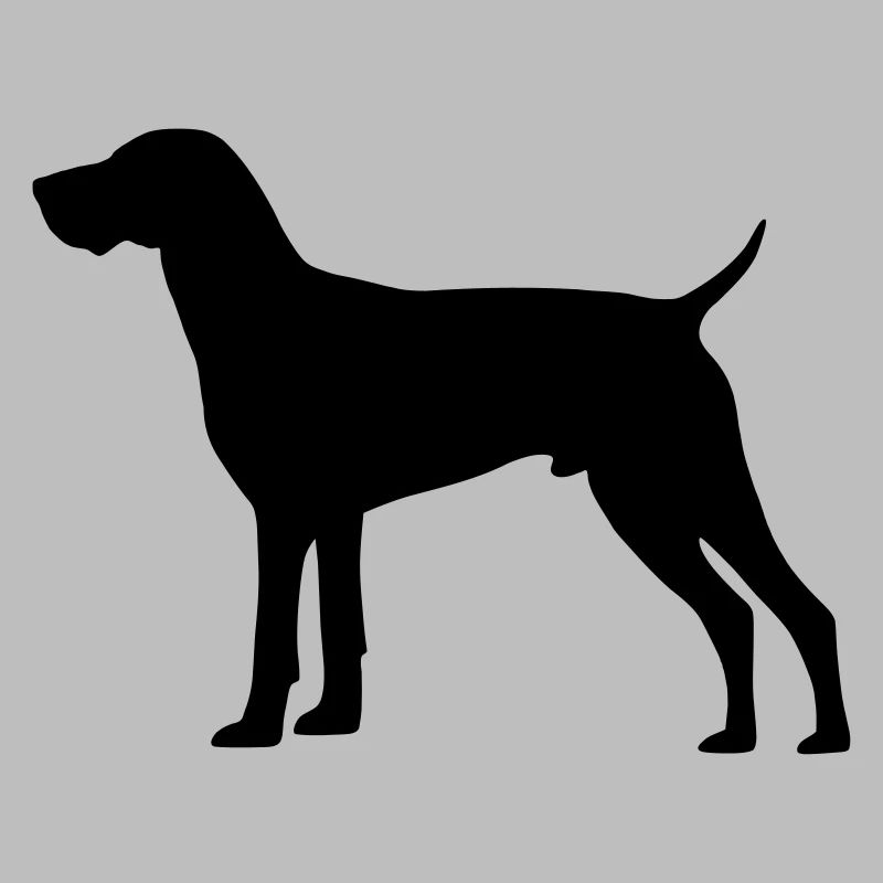 German Shorthaired Pointer