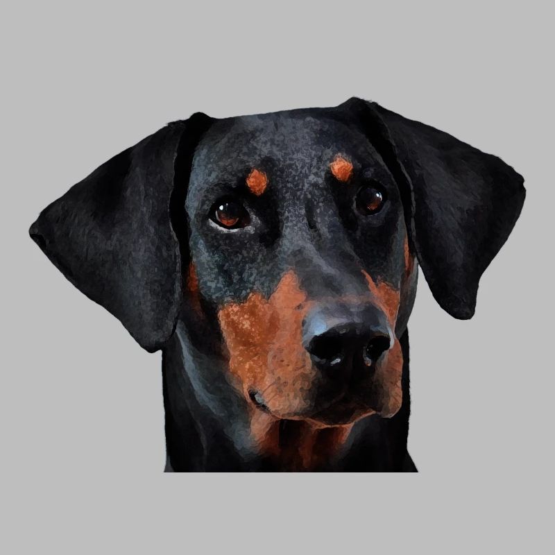 Dobermann