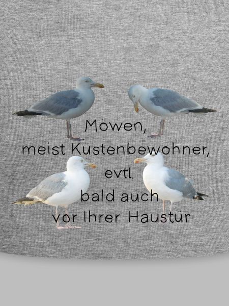 Möwen mit Spruch