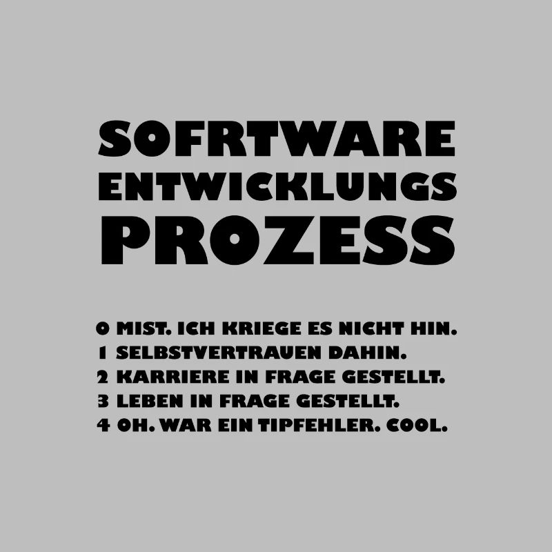 Software development process