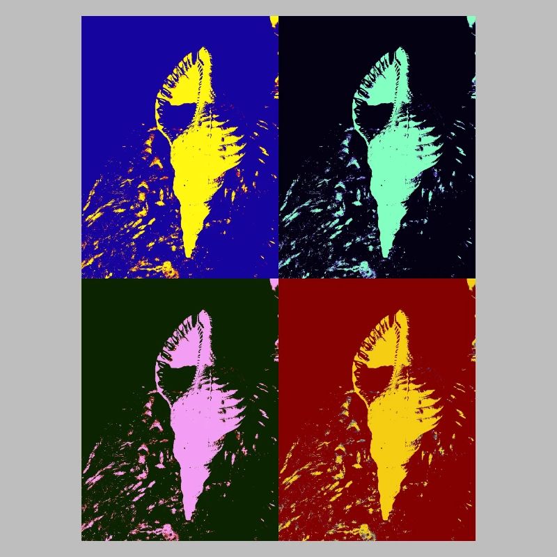 Mediterranean shellfish