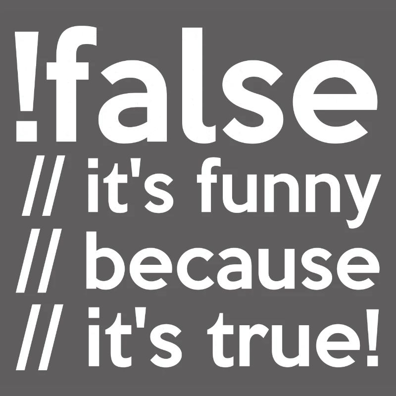 Programmierer false true Informatiker Student Code