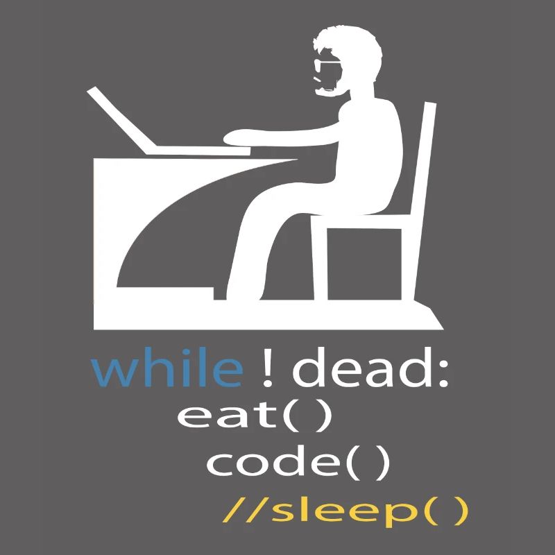 Softwareentwickler Programmierer Geschenk