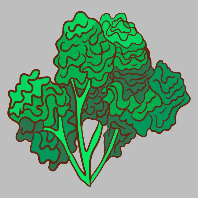 kale brown cabbage Cabbage Cabbage