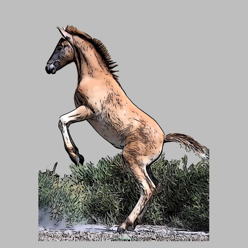 Junges Pferd