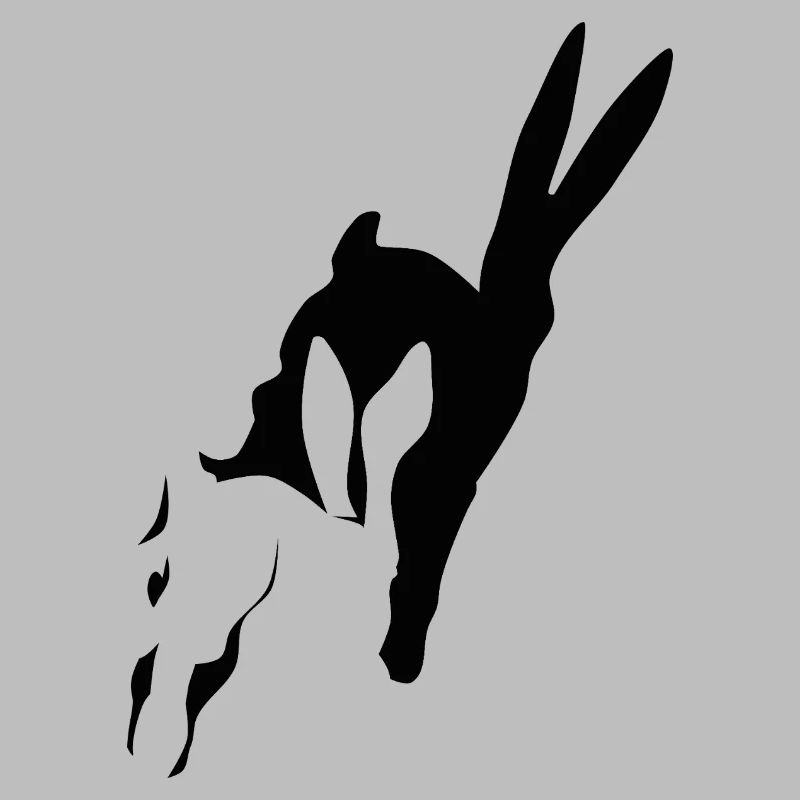 Bunny runs shadow bunny Easter bunny rabbit hop