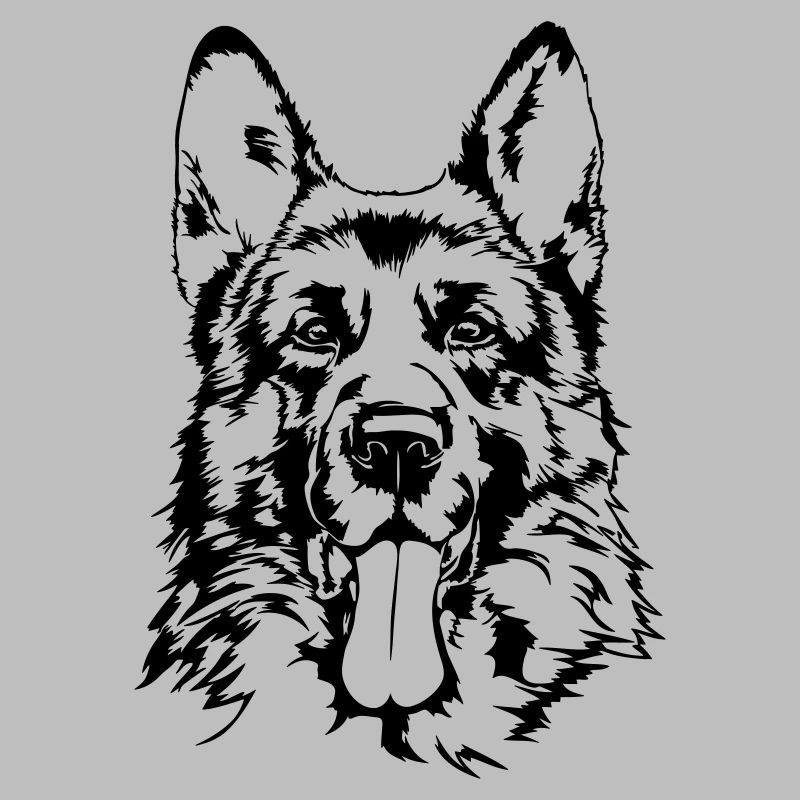 DEUTSCHER SCHÄFERHUND - GERMAN SHEPHERD Wilsigns