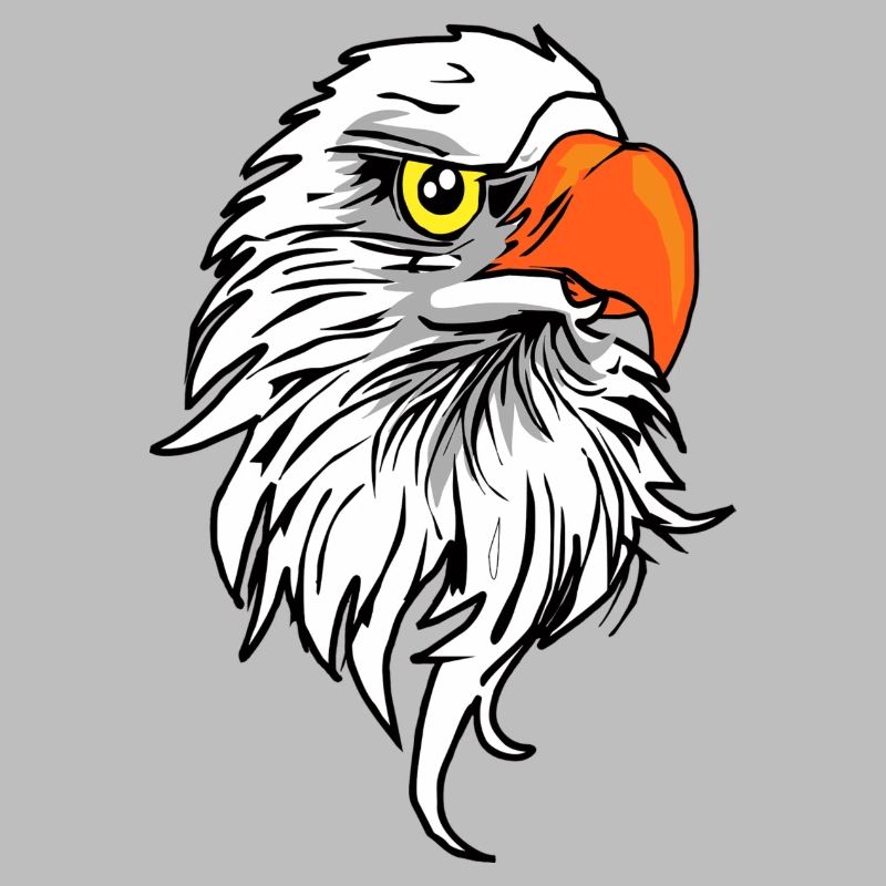 Eagle comic