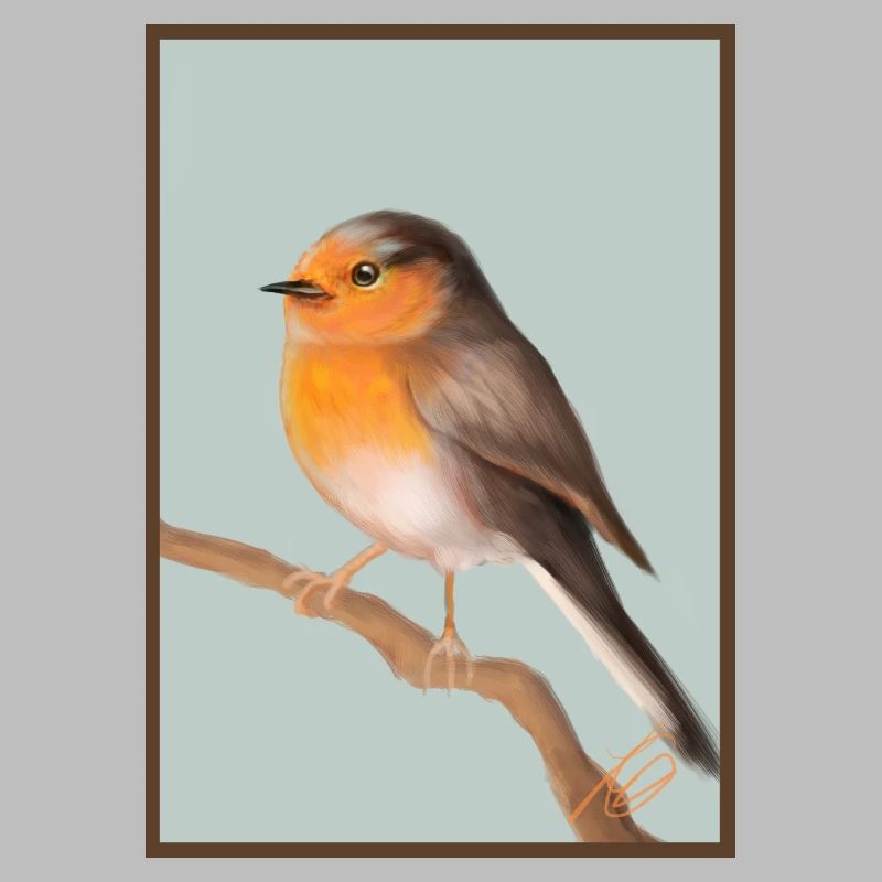 robin