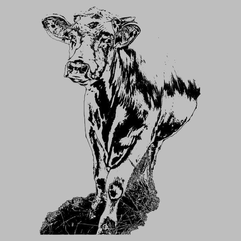 Cow Black White Comic