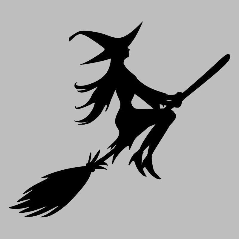 Witch on a broom Witch with a broom