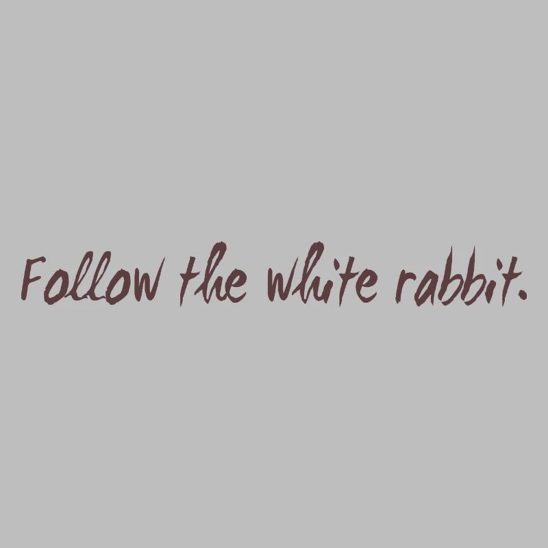 Follow the white rabbit programming cadeau