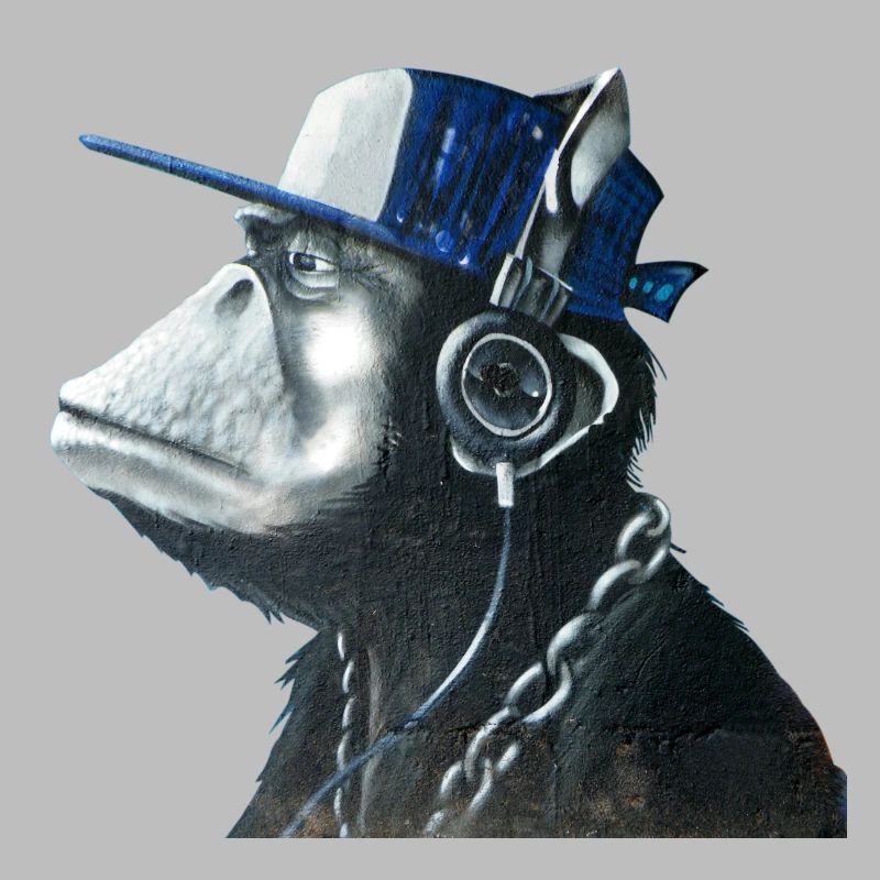 Monkey graffiti by CustomStyle