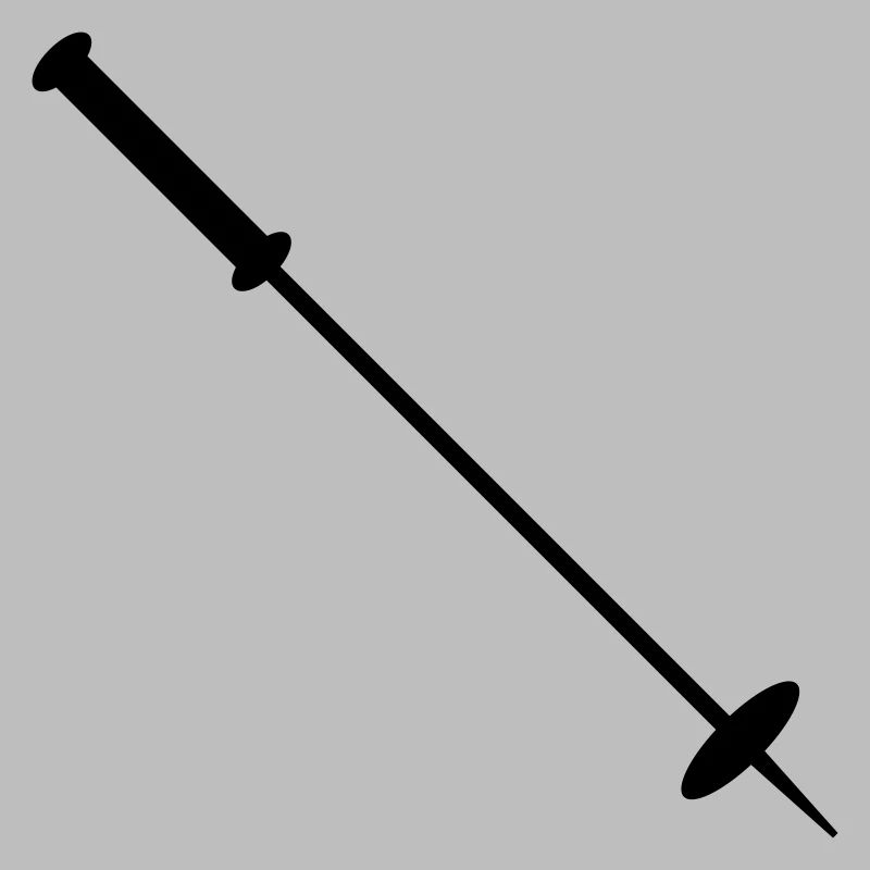 Bâton de ski