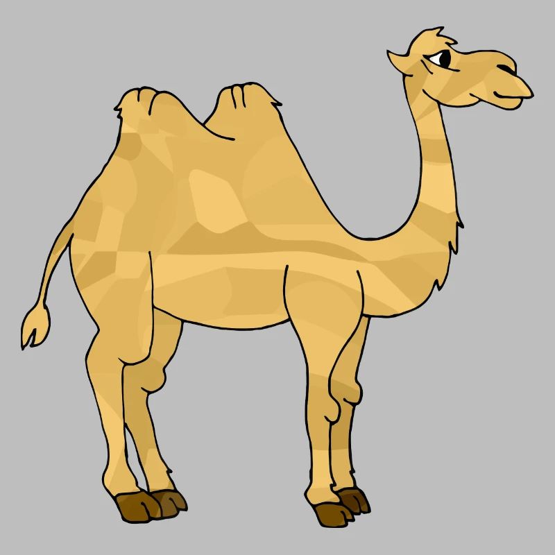 Kamel