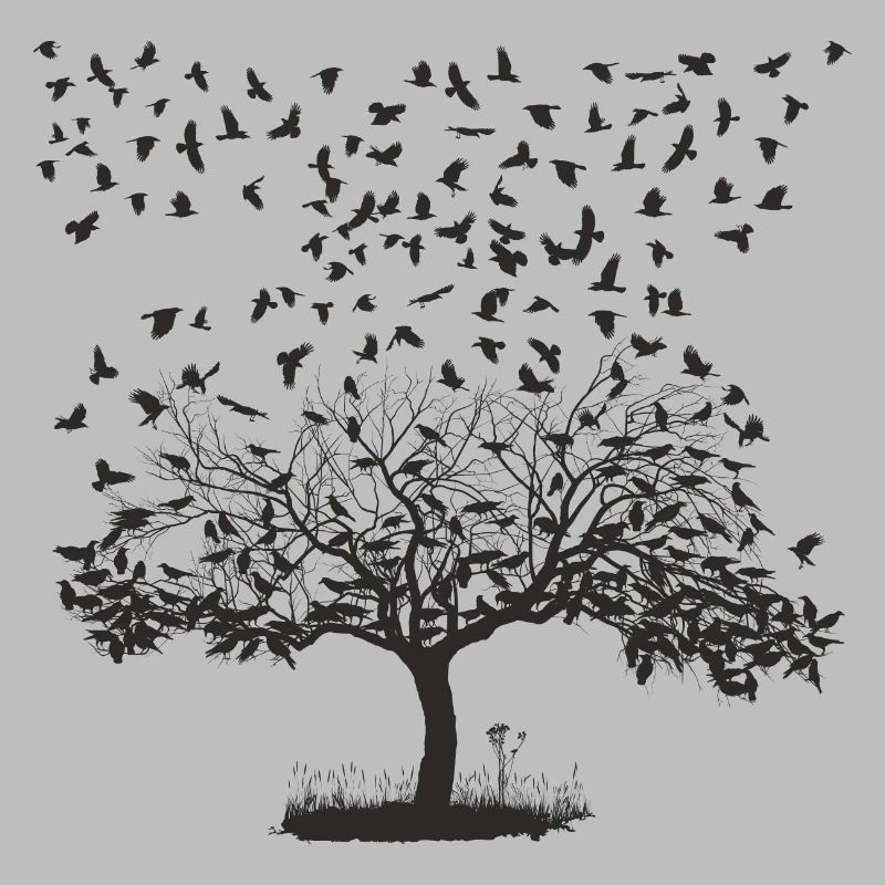 Crows in a tree