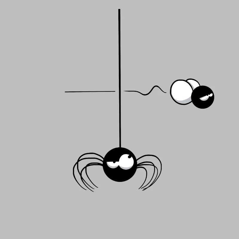 Beth the Spider - The Passing Fly