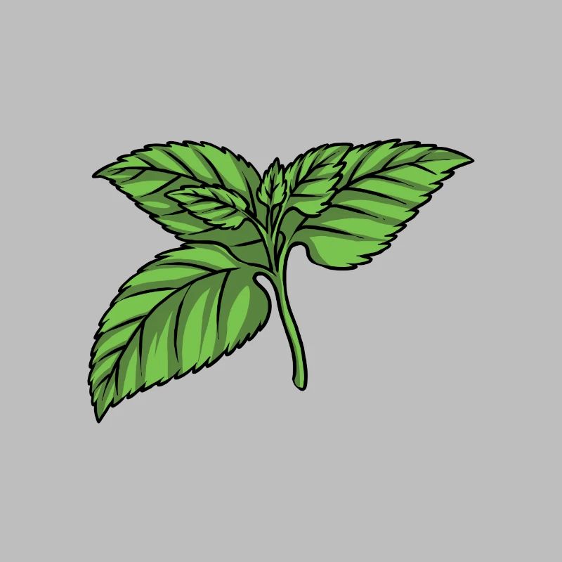 Mint Mint leaf