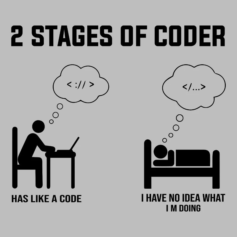 2 Stufen des Programmierers - Geschenkidee Humor Code Codierung