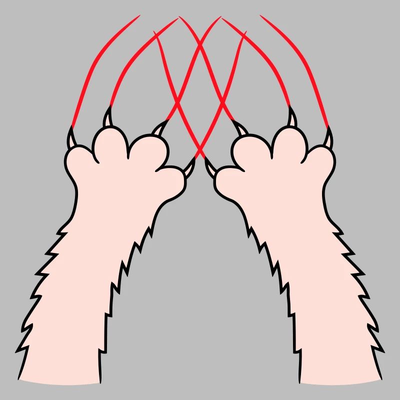 Cats, Claws, Paws, Paws, Claws, Scratches, Stripes