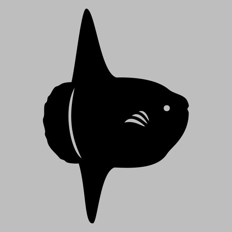 Mondfisch - Mola Mola