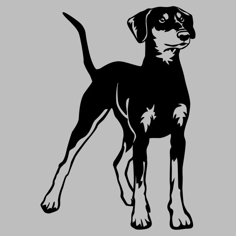 German Pinscher