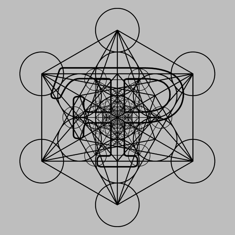 FramePace Cube de Métatron Noir