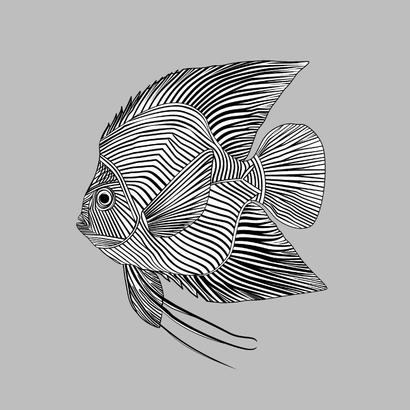 Lignes d’art poisson #fish