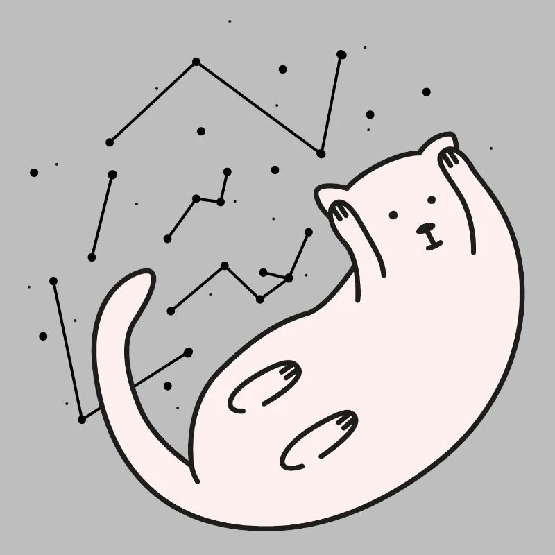 Space Cat Version 2