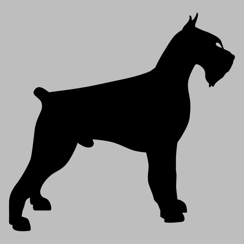 schnauzer géant