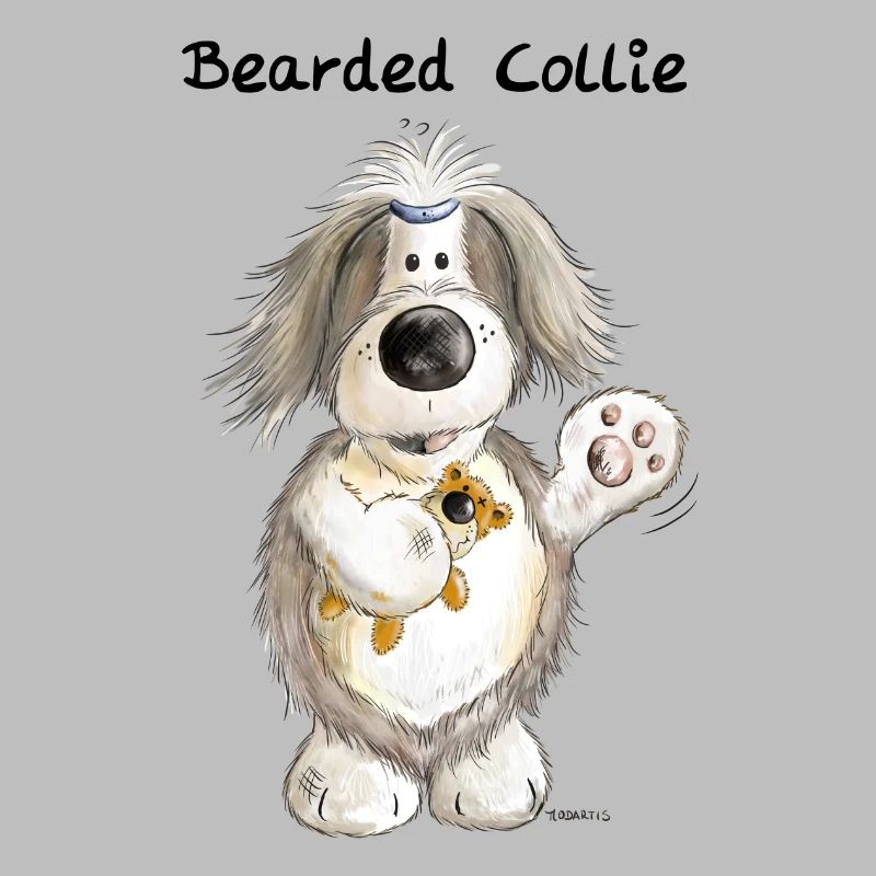 Bearded Collie mit Teddy