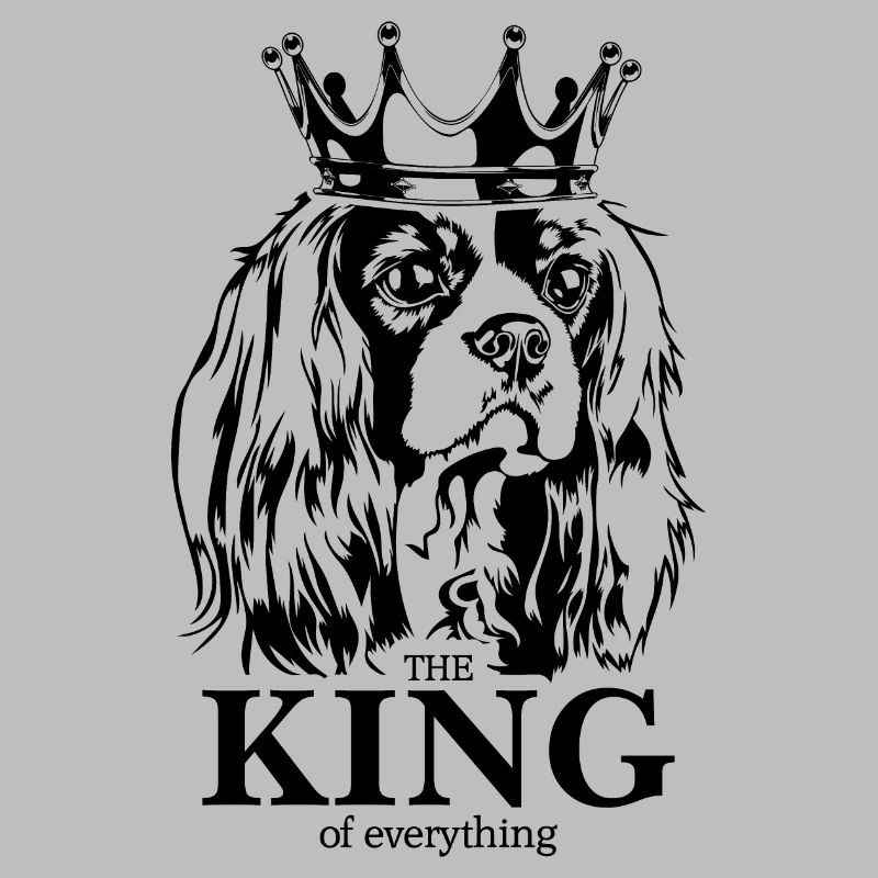 Cavalier King Charles Spaniel King chiens Wilsigns