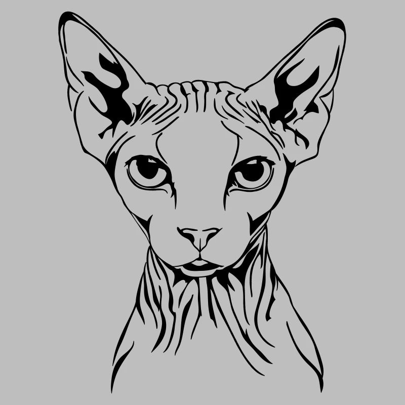 Portrait de chat SPHYNX race de chat chat Wilsigns