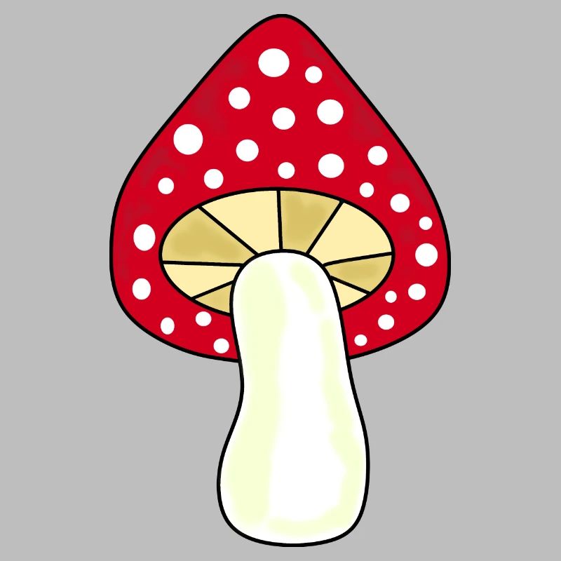 Toadstool, mushroom in the woods gift