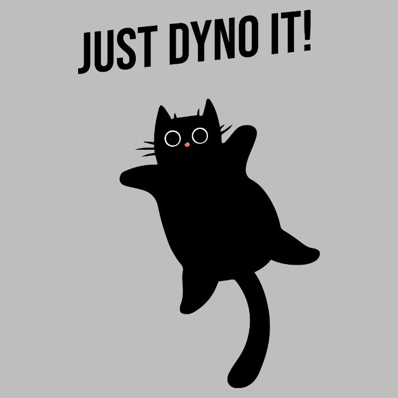 Cat climbs dynamically climbing route Dyno boulder