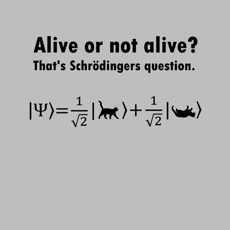Schrödinger's Cat - Physicist Gift Physics Nerd