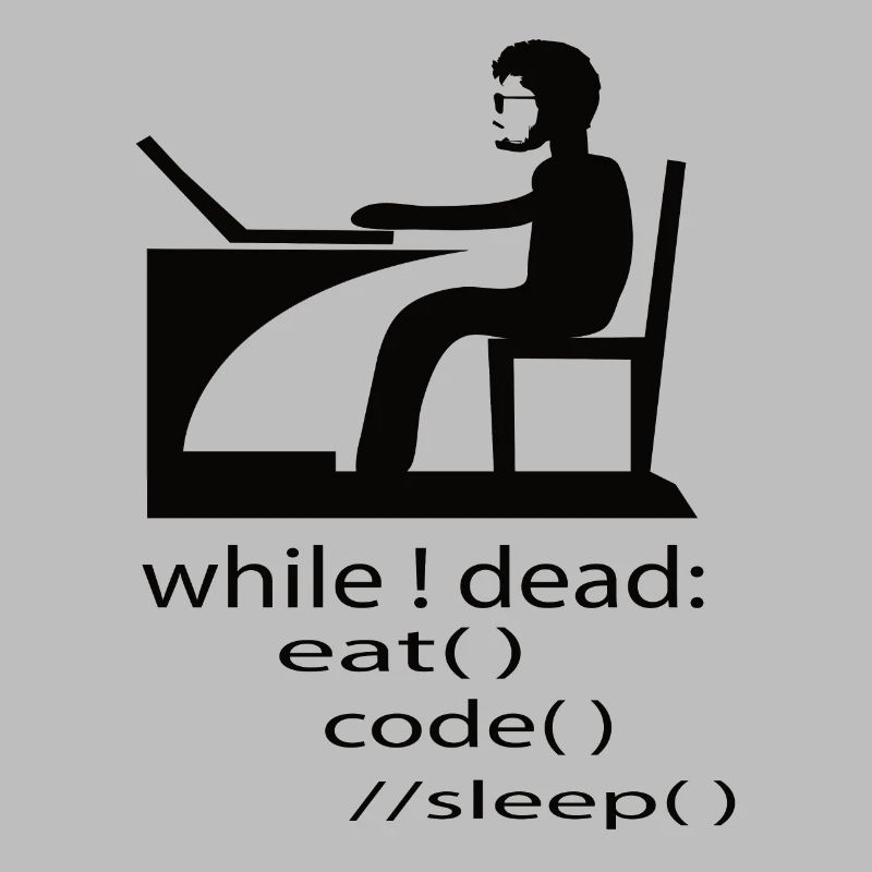 Software Developer Programmer Gift