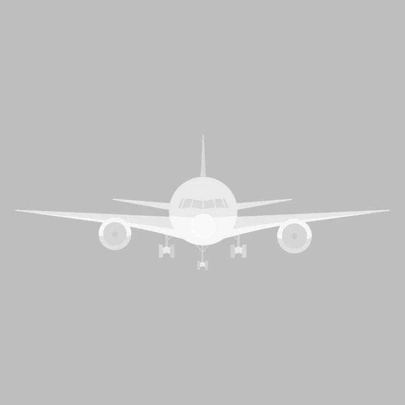 Fogg - plane