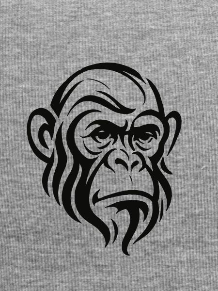 Chimpanzee Face