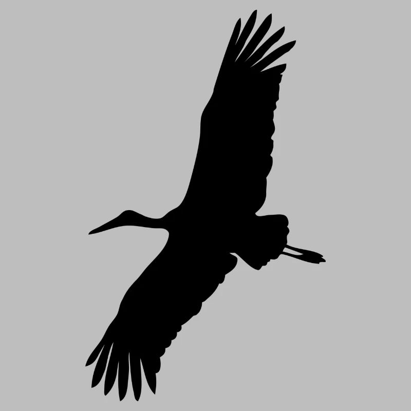 Storch