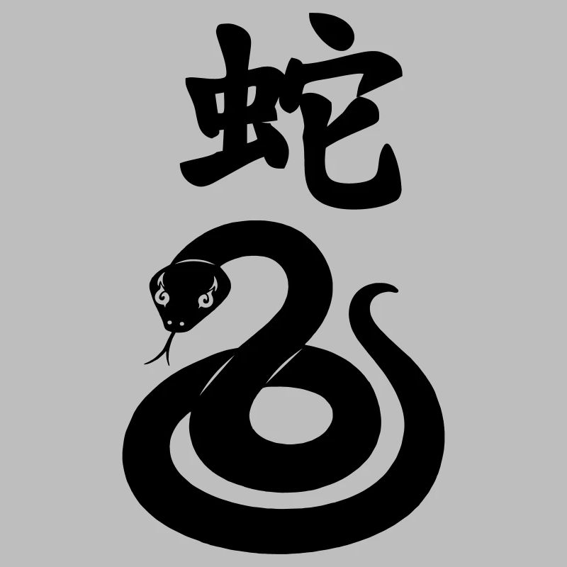 Serpent à caractère chinois avec image de serpent