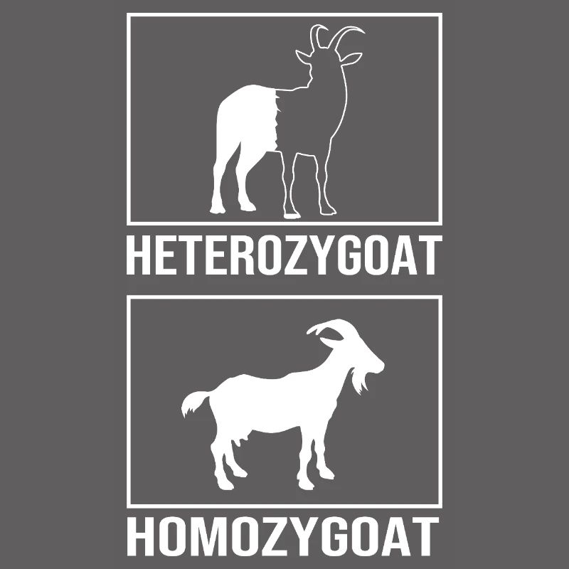 Molecule Structural Formula