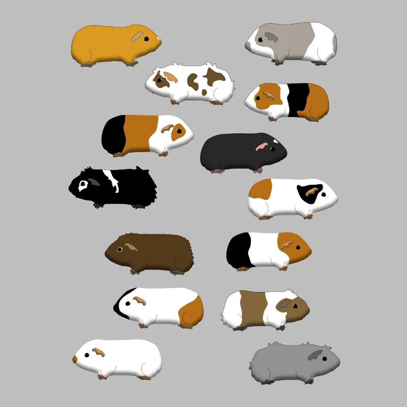14 cochons d'Inde