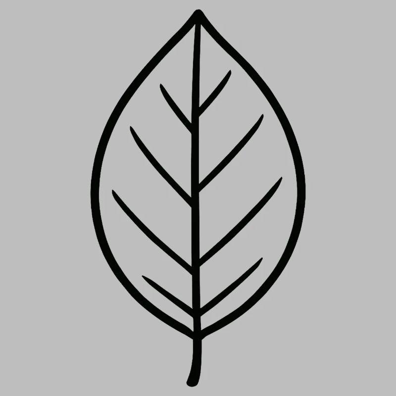 Conception à lignes de feuilles noires
