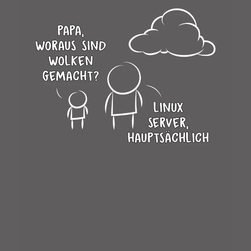 Software Entwickler Programmierer Informatik Ingen